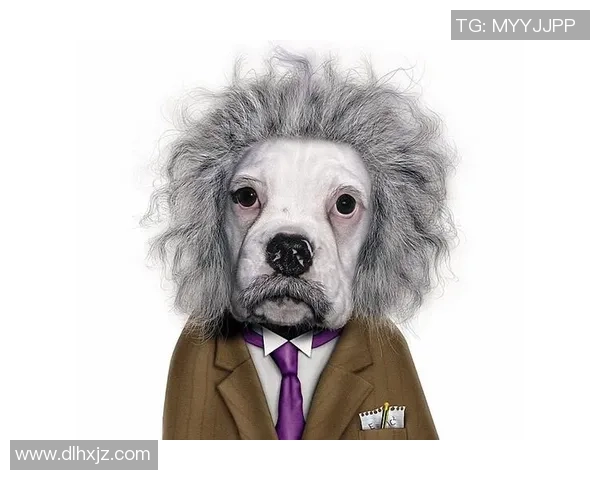 足球明星拍手变装技巧大公开轻松学会精彩瞬间打造完美造型